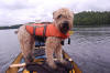 'Bella'  Boating in Killarney